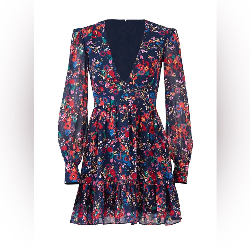 Saloni Pia Dress size 6 US